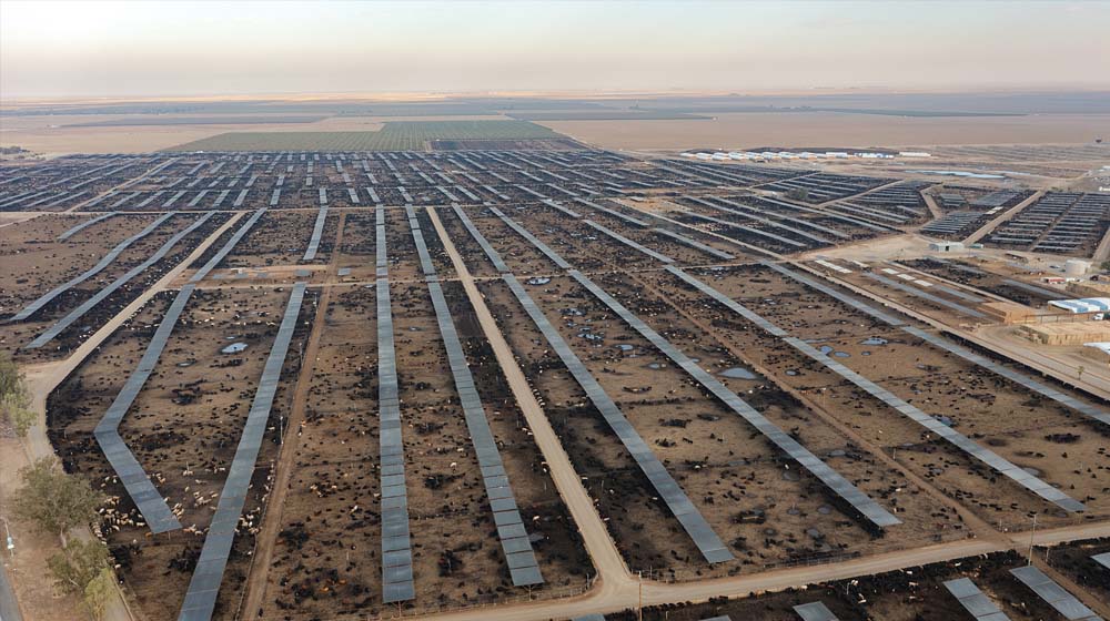 Giant feedlot in the US